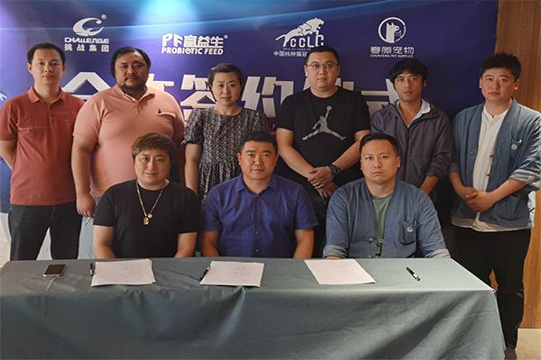 富益生与全国赛级猫协会CCLC展开...