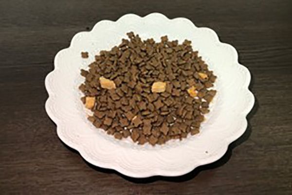 猫粮便宜就狂买？错误观念正在害惨你的猫！