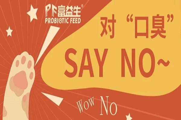 让猫咪“口气”清新，共建人宠美好生活。