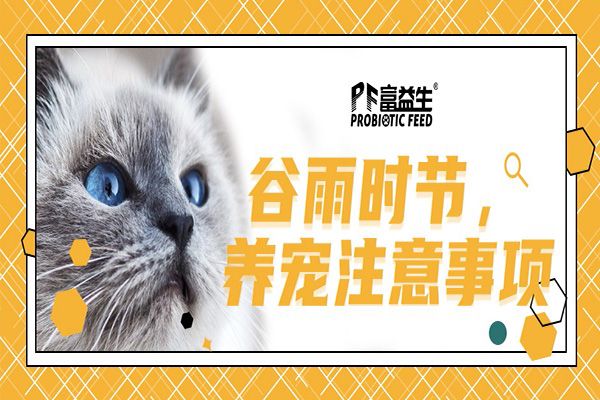 谷雨时节，要谨记爱宠的6个保养注意事项